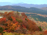 茶臼山高原周遊コース