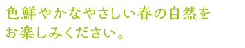 色鮮やかなやさしい春の自然をお楽しみください。