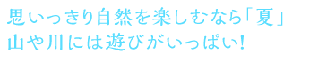 思いっきり自然を楽しむなら「夏」山や川には遊びがいっぱい！